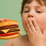 Warum müssen wir mehr Fett essen